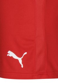 Puma TEAMGOAL 23 - Short de sport - puma red