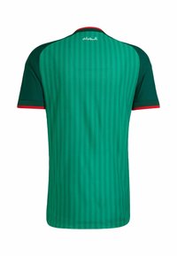 Maillot de sport vert avec des manches vert foncé, une bordure rouge, des rayures verticales et une inscription arabe blanche près du col à l'arrière.