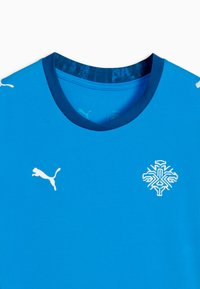 T-shirt de sport bleu avec un tissu texturé. Doté d'un col rond, du logo Puma blanc et d'un motif flocon de neige en blanc.