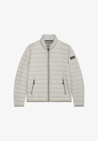 Unausgewählt, dapple gray