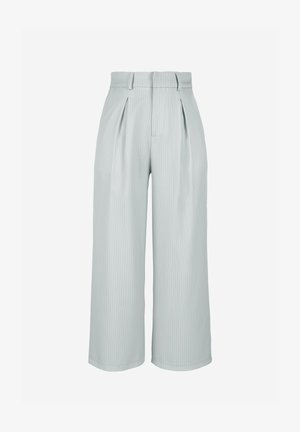 Heledad hallhalli pleegitud laiad püksid, millel on peened vertikaalsed triibud. Omab kõrget taljet ja sileda tekstuuri. Nähtavaid detaile ei ole.