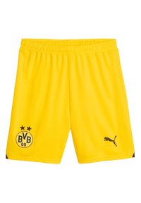 Puma REPLICAS NATIONAL BVB DORTMUND 2023/2024 - Nationalmannschaft - gelb