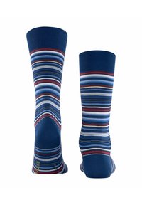FALKE MICROBLOCK - Calze - royal blue