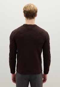 Pull marron en maille avec des motifs torsadés texturés sur les manches, un col côtelé et un ourlet côtelé. Design simple avec une coupe décontractée.