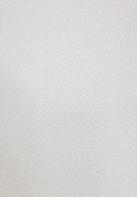 DETAILED - Suknjič - white