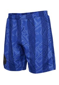 Blå shorts av glatt tyg med ett geometriskt mönster i olika nyanser av blått, med resårmidja och logopatch.