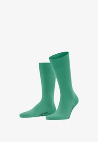 Unselected, oceangreen