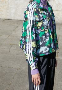 adidas Originals Träningsjacka - multi-coloured