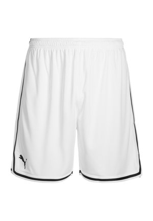 HOOPS GAME BASKETBALL - Pantalón corto de deporte - puma white