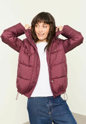 FatFace, PETITE FIT - SHORT PUFFER JACKET - Winter jacket - purple