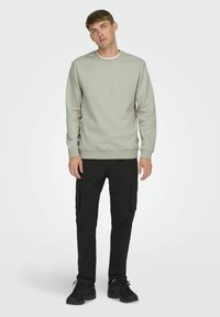 Lichtgrijze sweatshirt met ronde hals en geribde manchetten, gecombineerd met zwarte cargo-broeken met zijzakken, gedragen met zwarte sportschoenen.