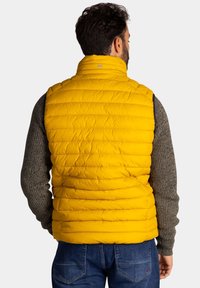 Gelb geïsoleerd vest met horizontale stiknaden en hoge kraag, gelaagd over een grijs gestructureerd lange mouw shirt, gedragen met blauwe spijkerbroek.