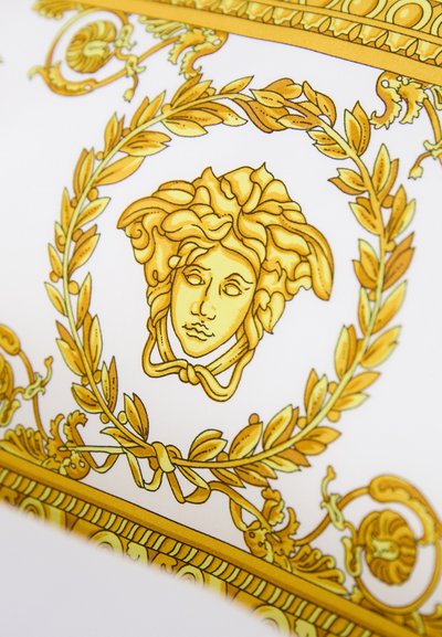 Illustreerimine, kus on kuldse tooni Medusa pea, ümbritsetud ornate loorberite ja lillemotiividega valgel taustal.