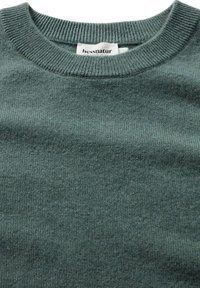 Grüner gestrickter Pullover mit einem gerippten Rundhalsausschnitt und glatter Textur. Das Etikett trägt die Aufschrift "hessnatur". Schlichtes Design, ohne sichtbare Muster oder Akzente.