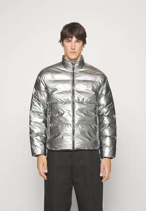 Winter jacket - grigio chiaro