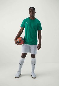 Zelené tričko s krátkým rukávem, bílé šortky, bílé fotbalové ponožky a boty s hnědými podrážkami. Drží oranžový a černý fotbal.