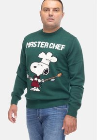 Maglione verde lavorato a maglia con un design di Snoopy chef e testo "MASTER CHEF" sul davanti. Polsini e orlo a coste.
