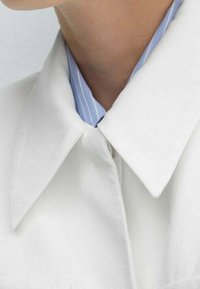 Valkoinen kauluspaita, jossa sinisävyinen raidallinen sisäkaulus. Ominaisuutena siisti, jäsennelty muotoilu ja sileä kangaspinta.