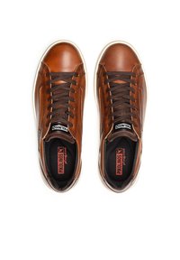 Pikolinos XATIVA - Baskets basses - brown