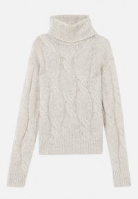 ANTILLE - Jumper - grau