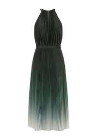 Faltendes Kleid in Dunkelgrün, mit hohem Kragen und Schlitz am Rücken, das einen Farbverlauf zeigt, der zu helleren Tönen am Saum übergeht.