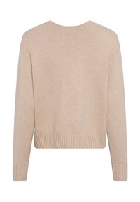 Beige gestrickter Pullover mit rundem Halsausschnitt, langen Ärmeln und geripptem Saum. Weiche Textur mit minimalistischem Design. Rückansicht dargestellt.
