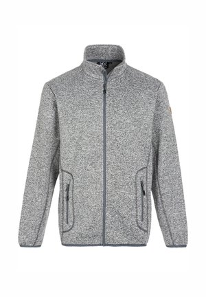 Veste en polaire grise avec un col montant, une fermeture éclair à l'avant et deux poches latérales. Elle présente des coutures contrastantes et un tissu texturé.