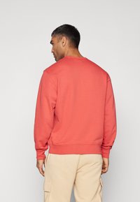 Koral genser med rund hals og lange ermer, ribbestrikkede cuffs og hem, glatt tekstur, kombinert med beige cargo-bukser. Baksidevisning vist.