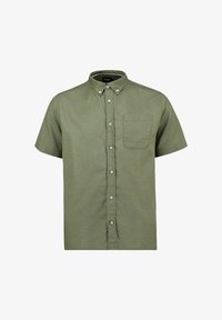 Pasirinkta, dusty olive