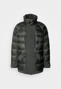 Selecionado, forest/forest