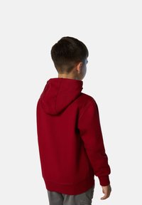 Sudadera roja con una capucha grande, puños y dobladillo acanalados. Textura suave y diseño sencillo. Niño mostrado de espaldas, vistiendo pantalones grises.