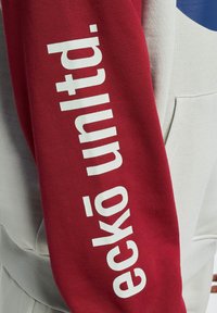 ecko unltd. Felpa con cappuccio - grey red blue