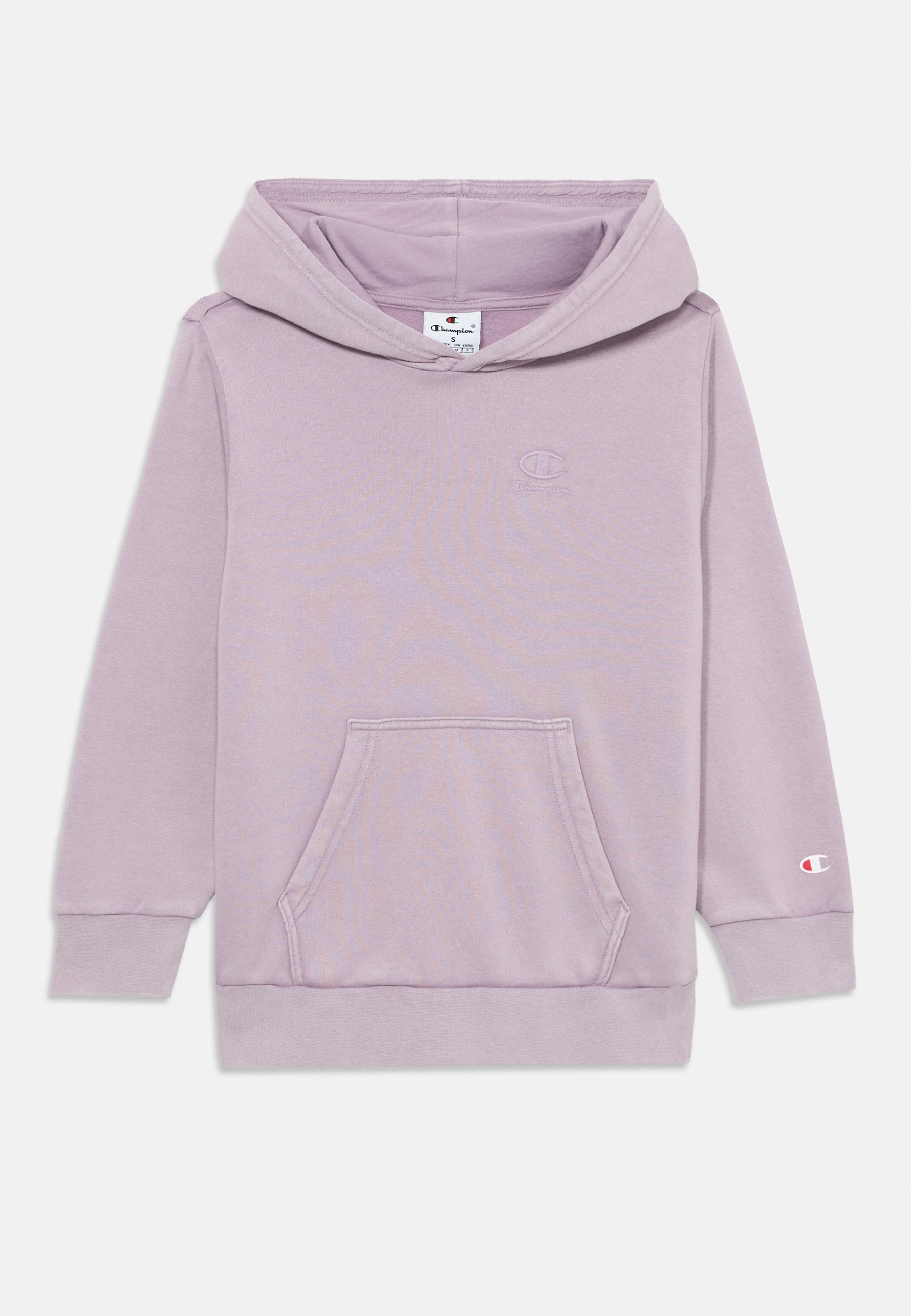 Champion ICONS WASH HOODIE UNISEX Sweatshirt mauve