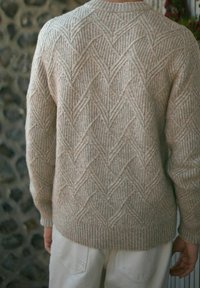 Beżowy sweter z dzianiny o teksturowanym wzorze zygzaka, okrągłym dekolcie oraz ściągaczach przy rękawach i dole. Charakteryzuje się miękkim, przytulnym wykończeniem.