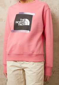 Felpa rosa con una grande grafica quadrata nera con il logo "THE NORTH FACE" e il testo "NEVER STOP EXPLORING". Polsini e orlo a coste.