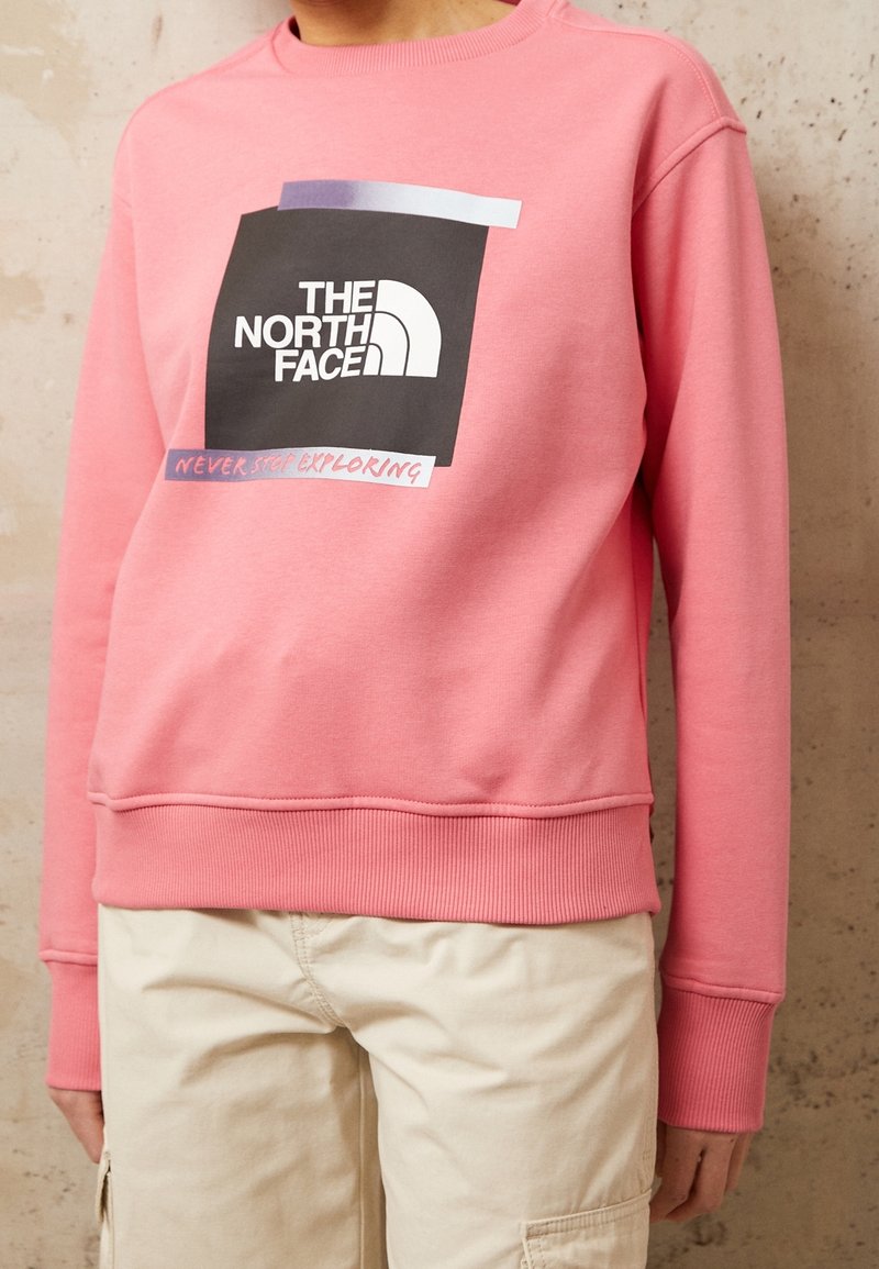 Felpa rosa con una grande grafica quadrata nera con il logo "THE NORTH FACE" e il testo "NEVER STOP EXPLORING". Polsini e orlo a coste.