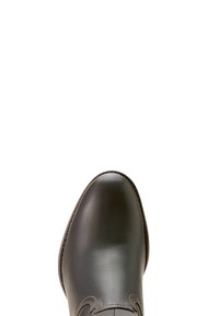 Ariat ADDISON ZIP - Stiefelette - chocolate truffle