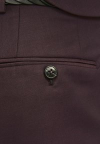 Jack & Jones PREMIUM JPRSOLARIS NOOS SET - Costum - winetasting