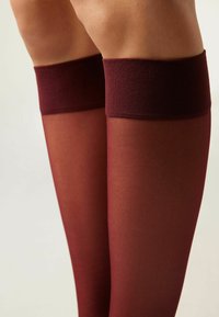 Calzedonia Kniestrümpfe - mottled bordeaux