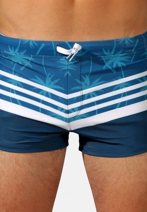 Shorts de bain avec une palette de couleurs bleues, un motif de palmiers et des rayures diagonales blanches ; fabriqués en tissu lisse et extensible.