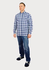 Camicia a quadri blu e bianchi con bottoni, jeans di denim e sneaker scuri. La camicia ha un colletto classico e maniche lunghe.