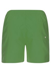 Grønne svømmeshorts med elastisk talje, enkelt baklomme og glatt, lett materiale. Har enkelt design uten synlige mønstre.