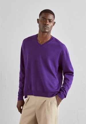 WOOYOUNGMI MENS SWEATER - Džemper - violet