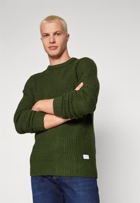 Green knitted sweater with a textured pattern, ribbed cuffs, and round neckline, paired with blue jeans. Label at the bottom right.