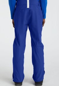 Blue ski pants made of smooth, water-resistant material. Features include a high waist, zippered cuffs, and a white accent at the back.