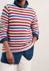 Striped sweater with pink, blue, and brown horizontal lines, featuring a denim collar and ribbed hem. Worn over a blue button-up shirt.