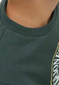 Felpa verde con colletto a coste e girocollo, caratterizzata da un tessuto testurizzato e un logo visibile in colore contrastante sul davanti.