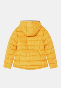 Pepe Jeans AMBER - Vinterjacka - colemans