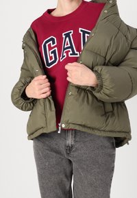 Olivově zelená péřová bunda s elastickými manžetami, zapínáním na zip a druky. Nahoře přes bordó mikinu s logem „GAP“. Viditelné šedé džíny.