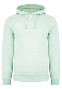 Threadbare CLEMENTINE - Jersey con capucha - sage